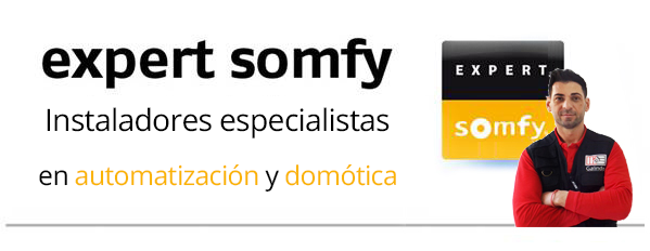 instalador expert somfy